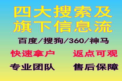 SEO与SEM优化案例：打造行业领先品牌